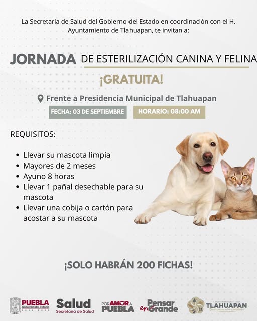 Este 3 de septiembre te esperamos en la Jornada de (#11)