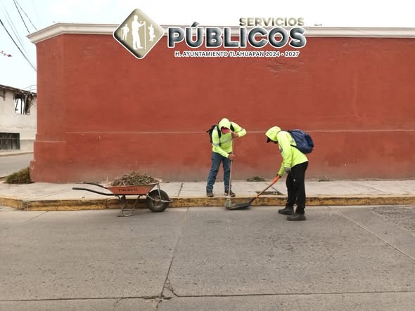 En la colonia Domingo Arenas, la brigada de limpie (#139)
