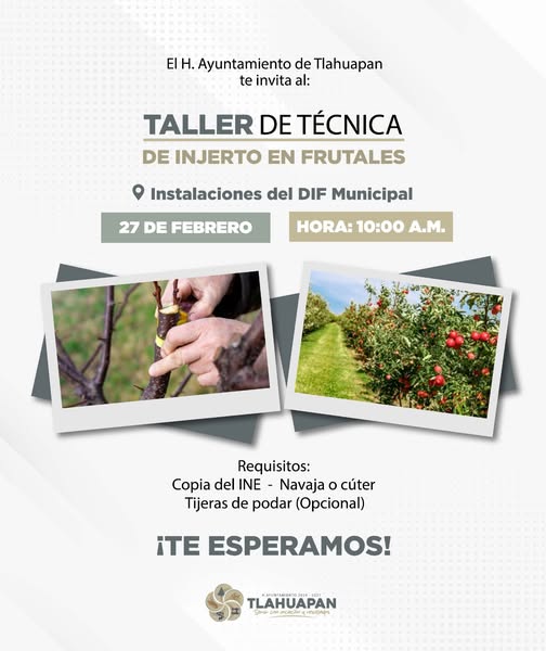 El H. Ayuntamiento te invita a participar en el Ta (#231)