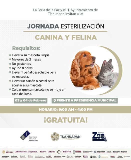 La Feria de la Paz también cuida a tus mascotas (#265)