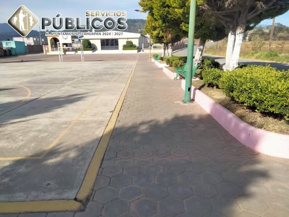 La brigada de Parques y Jardines realizó el corte (#384)