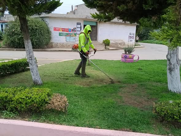 La Brigada de Parques y Jardines continúa realizan (#43)
