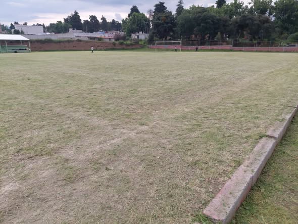 La brigada de Parques y Jardines realizó labores d (#53)