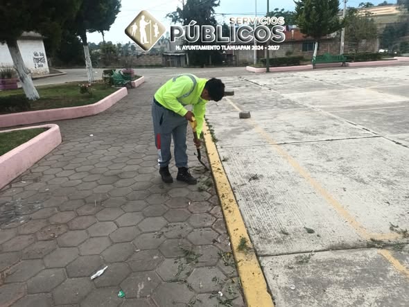 La brigada de Parques y Jardines continúa trabajan (#94)